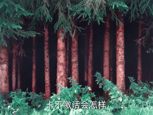 卡不激活会怎样