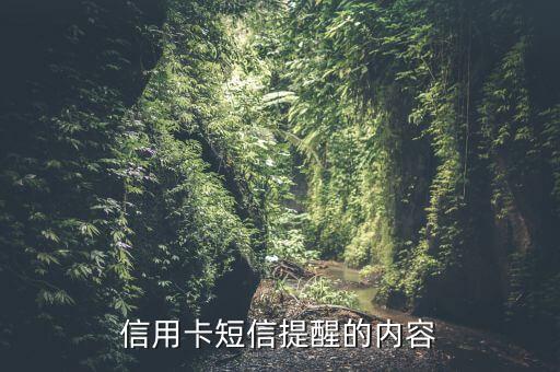 信用卡短信提醒的内容