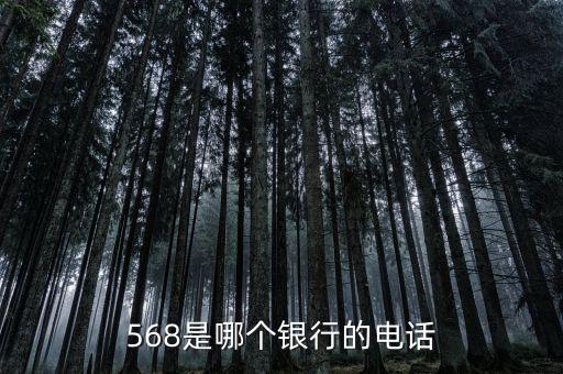 568是哪个银行的电话