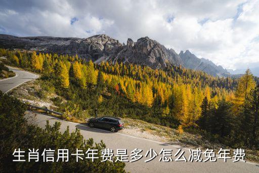 生肖信用卡年费是多少怎么减免年费