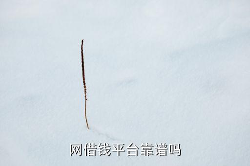 网借钱平台靠谱吗