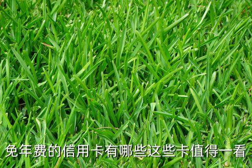 免年费的信用卡有哪些这些卡值得一看