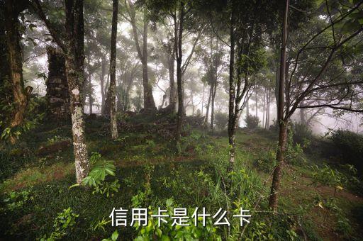 信用卡付卡是什么卡，信用卡是什么卡
