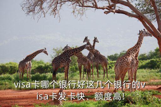 visa卡哪个银行好这几个银行的visa卡发卡快、额度高!