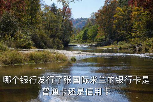 哪个银行发行了张国际米兰的银行卡是普通卡还是信用卡