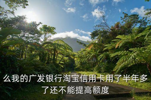 么我的广发银行淘宝信用卡用了半年多了还不能提高额度