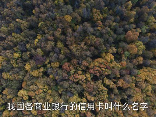 我国各商业银行的信用卡叫什么名字