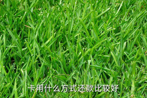 卡用什么方式还款比较好