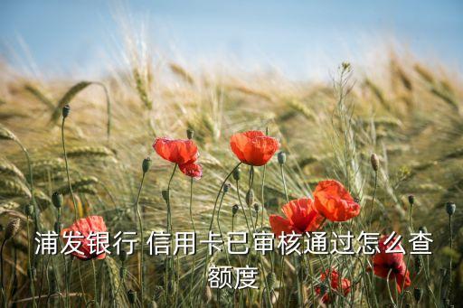 浦发信用卡app怎么查看额度
