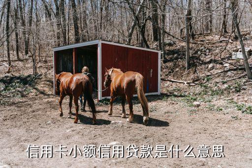 信用卡小额信用贷款是什么意思