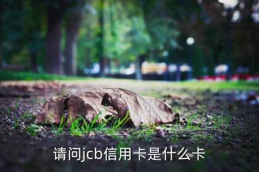 请问jcb信用卡是什么卡