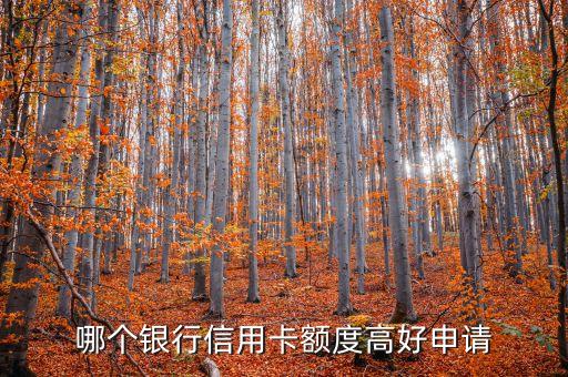 哪个银行信用卡额度高好申请