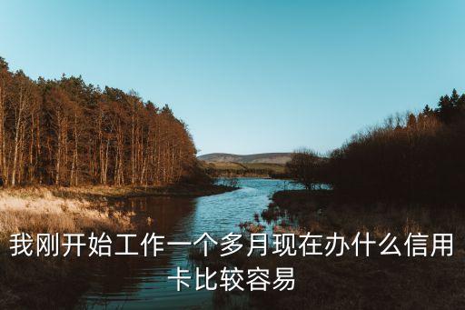 我刚开始工作一个多月现在办什么信用卡比较容易