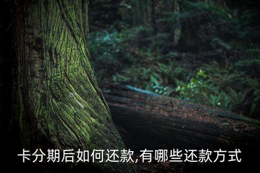 瑞丰的信用卡怎么还款,信用卡怎么还款