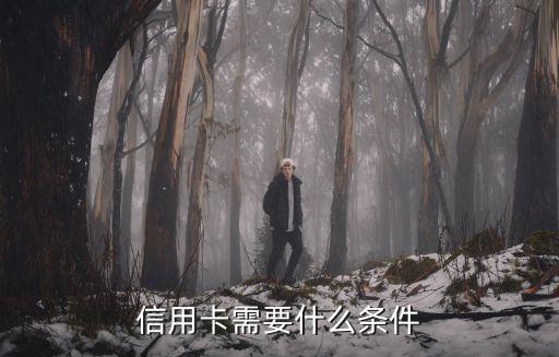 信用卡需要什么条件