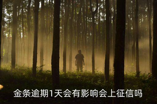 金条逾期1天会有影响会上征信吗
