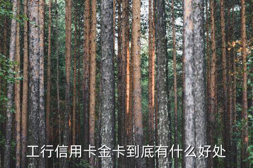 工行信用卡金卡什么用，工行的金卡有什么用