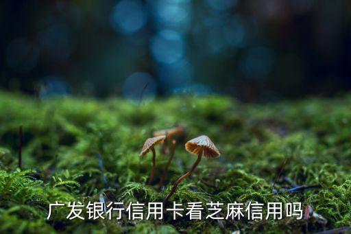 什么信用卡会看芝麻分的，怎么光大银行还查芝麻信用呢