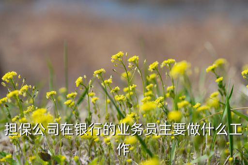 担保公司在银行的业务员主要做什么工作