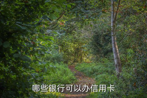 哪些银行可以办信用卡