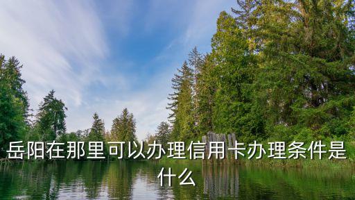 岳阳在那里可以办理信用卡办理条件是什么
