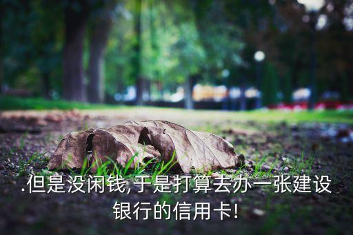 .但是没闲钱,于是打算去办一张建设银行的信用卡!