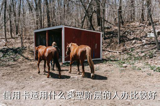 信用卡适用什么类型阶层的人办比较好
