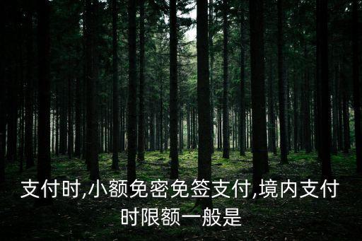 支付时,小额免密免签支付,境内支付时限额一般是