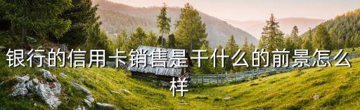 银行的信用卡销售是干什么的前景怎么样