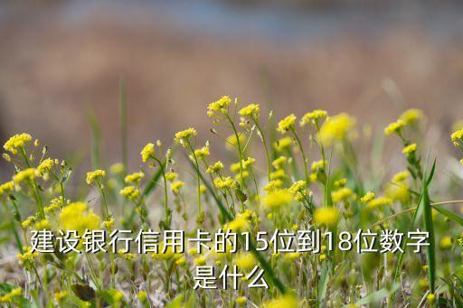 建设银行信用卡的15位到18位数字是什么