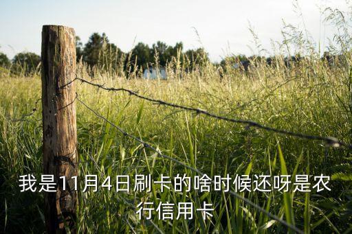 九江信用卡什么时候还卡，大家帮个忙有哪个知道九江市信用卡还款的地方 我31号还款啊
