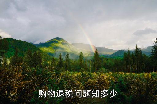 购物退税问题知多少