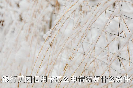 银行美团信用卡怎么申请需要什么条件
