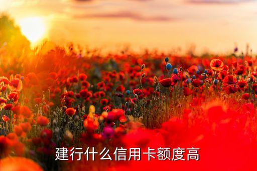 建行什么信用卡额度高，建设信息卡哪个好额度高