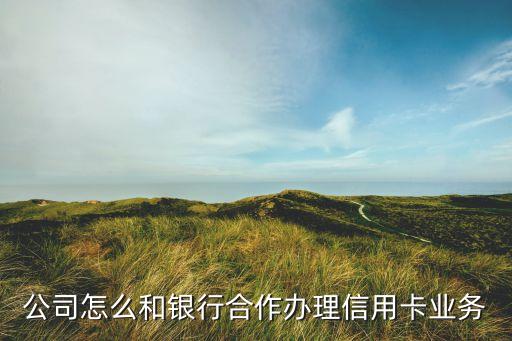 公司怎么和银行合作办理信用卡业务