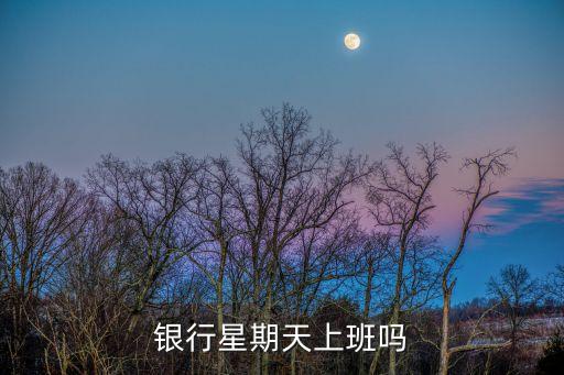 银行星期天上班吗