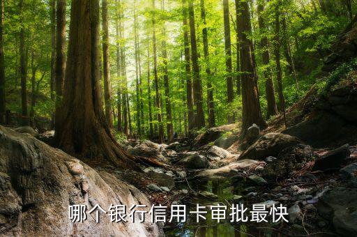 哪个银行信用卡审批最快
