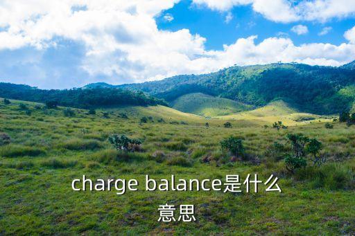 charge balance是什么意思