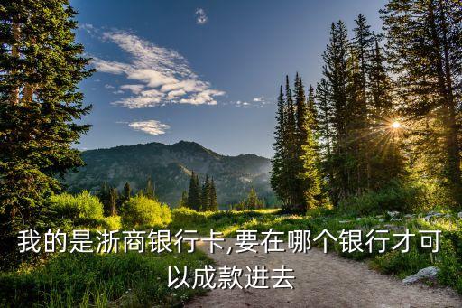 我的是浙商银行卡,要在哪个银行才可以成款进去