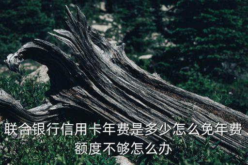联合银行信用卡年费是多少怎么免年费额度不够怎么办