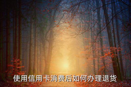 信用卡退款退货是什么，信用卡帐单中出现的退货退税是什么意思