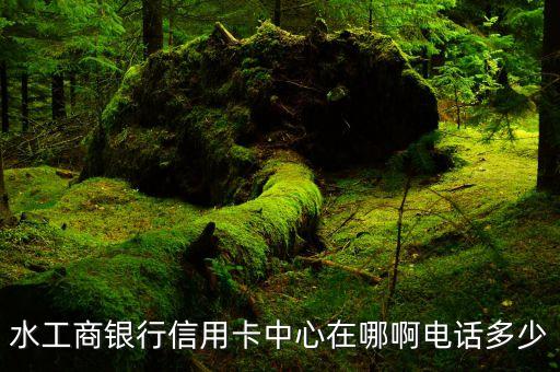 水工商银行信用卡中心在哪啊电话多少