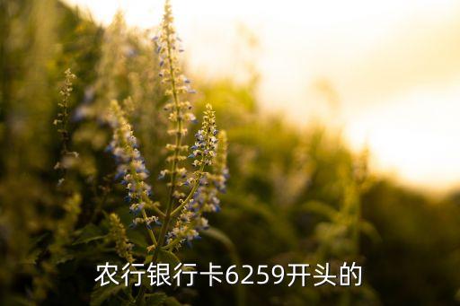农行银行卡6259开头的