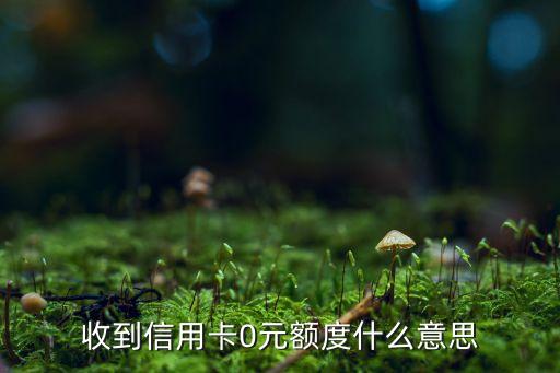 收到信用卡0元额度什么意思