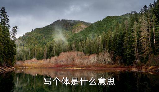 申请信用卡工作单位写个体,个人工作单位的信用卡怎么填