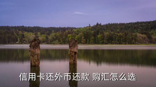 信用卡购汇选择什么，招商的双币卡在asos买东西选什么货币结算