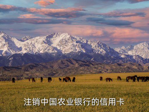 注销中国农业银行的信用卡