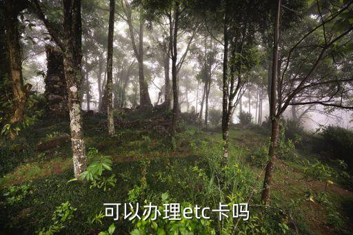 可以办理etc卡吗