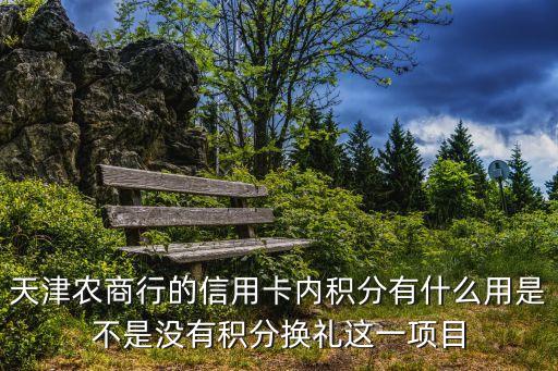 天津农商行的信用卡内积分有什么用是不是没有积分换礼这一项目