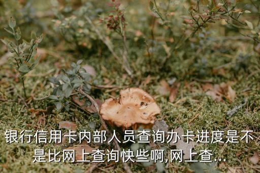 银行信用卡内部人员查询办卡进度是不是比网上查询快些啊,网上查...